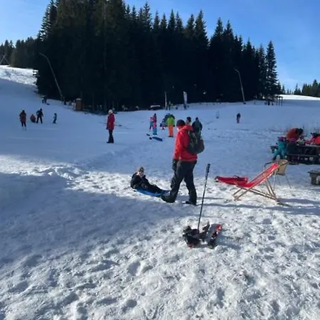 Drevenica Orava Domek alpejski Oravská Lesná