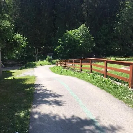 Drevenica Orava Domek alpejski Oravská Lesná