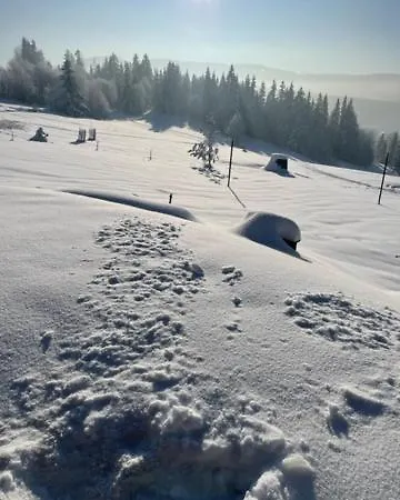 Drevenica Orava Domek alpejski