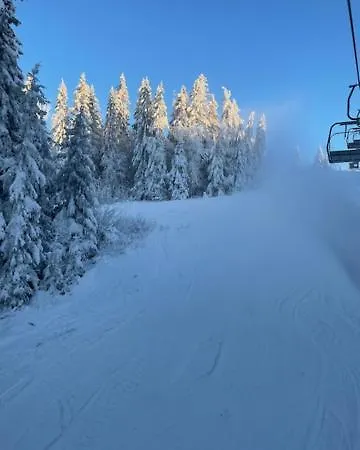 Drevenica Orava Domek alpejski *