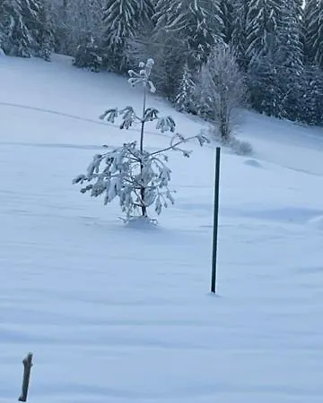Drevenica Orava Domek alpejski Oravská Lesná