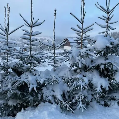 Drevenica Orava Domek alpejski