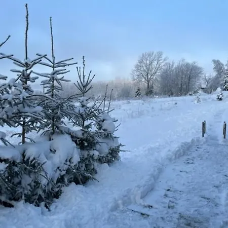 Drevenica Orava Domek alpejski Oravská Lesná