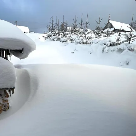 Alpehytte Drevenica Orava *